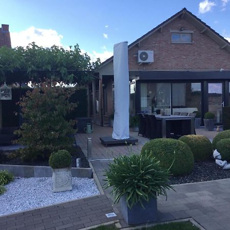 De Achtertuin Lejlighed Maasmechelen Eksteriør billede